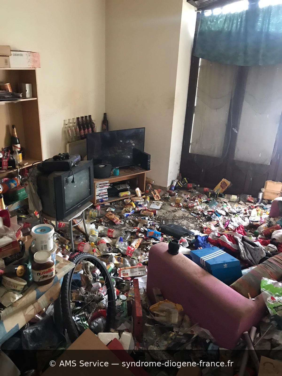 Salon avant intervention